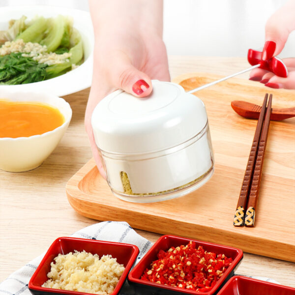 Manual Cutting Meat Grinder - Image 9